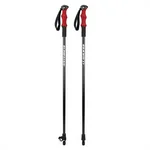 Summit Trekking Poles - 2
